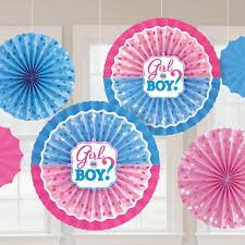 Gender Reveal Paper Fans 6pc