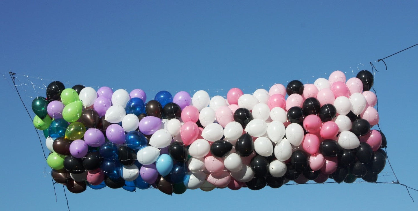 BNP50 Balloon Drop Net